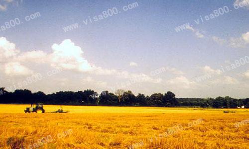 加拿大适合中国投资者的行业http://www.yienvisa.com/ 